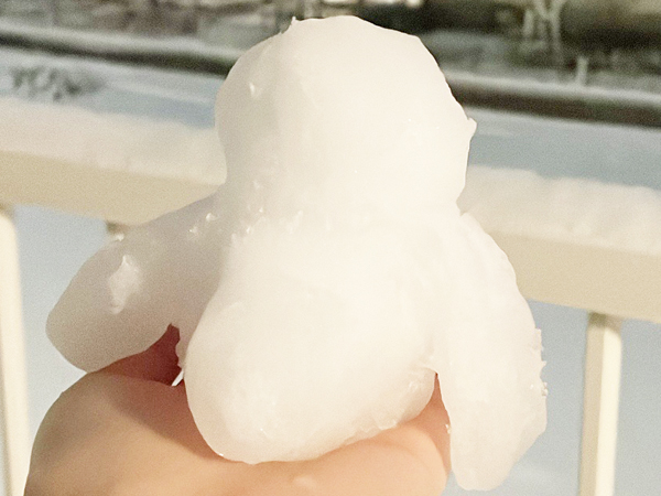 雪で作ったモデル犬♪